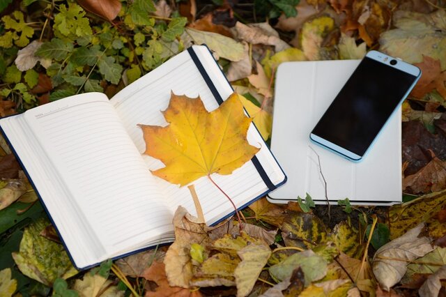 آموزش مجازی بهتر است یا حضوری؟ آموزش مجازی بهتر است یا حضوری؟