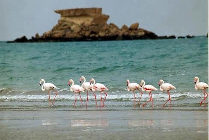 دریاچه ارومیه دریاچه ارومیه