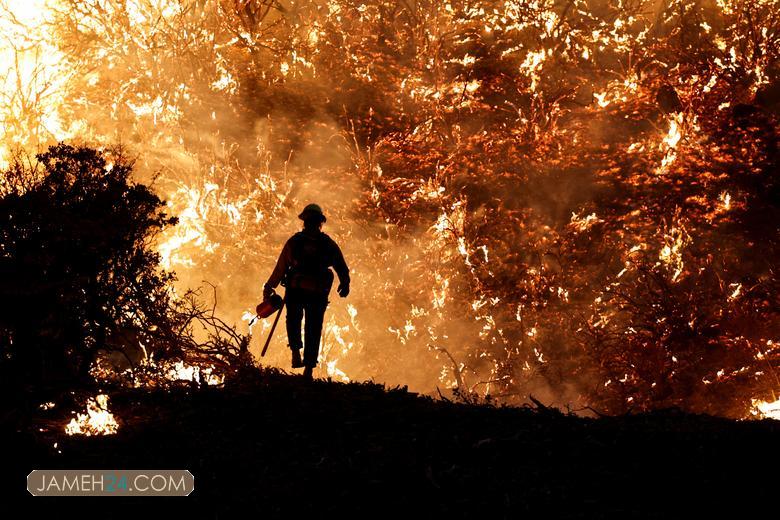 کالیفرنیا در خاکستر / تصاویر