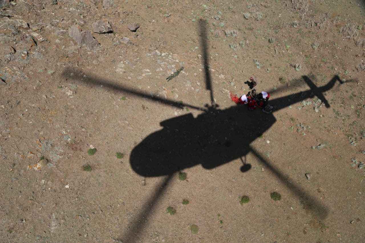 حمله خرس وحشی