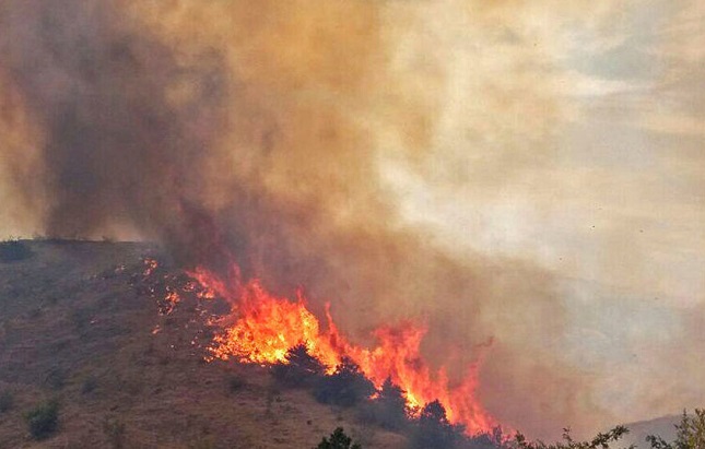 حریق سفید کوه مهار شد حریق سفید کوه مهار شد