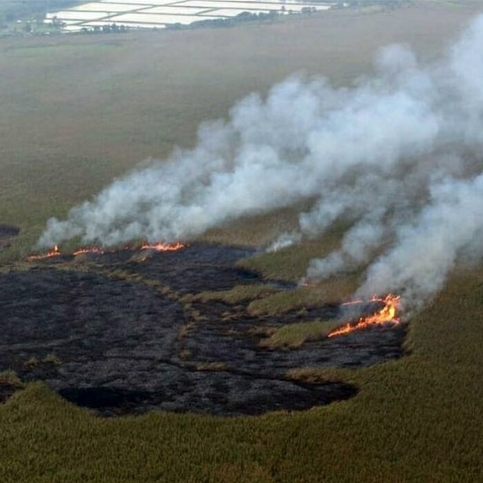 شناسایی و دستگیری عوامل آتشسوزی اراضی مرداب انزلی تالاب انزلی