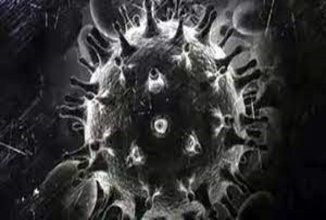 قارچ سیاه در کروناییها آخرین وضعیت قارچ سیاه