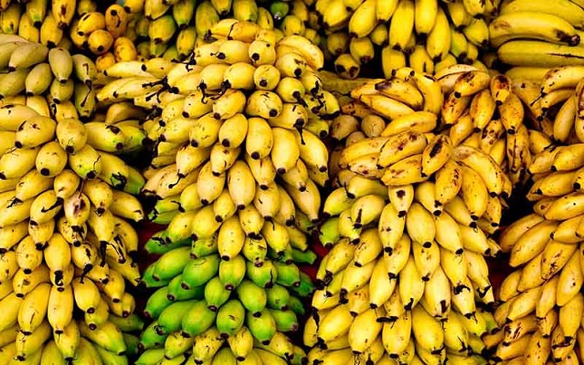 تب قیمت موز بالا گرفت