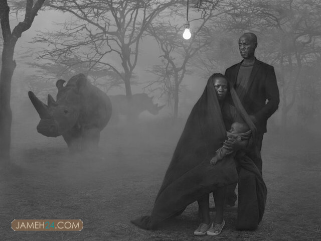 انسانها و حیوانات دردمند در یک قاب / داستان چند عکس انسانها و حیوانات دردمند در یک قاب / داستان چند عکس