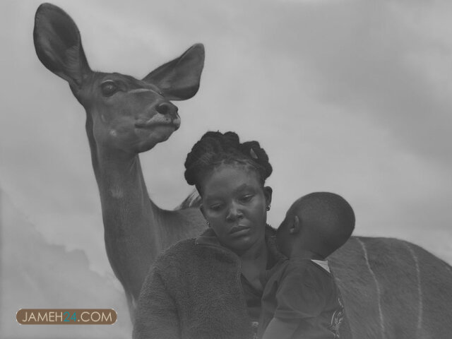 انسانها و حیوانات دردمند در یک قاب / داستان چند عکس انسانها و حیوانات دردمند در یک قاب / داستان چند عکس