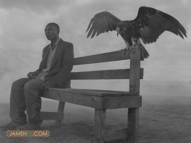 انسانها و حیوانات دردمند در یک قاب / داستان چند عکس انسانها و حیوانات دردمند در یک قاب / داستان چند عکس