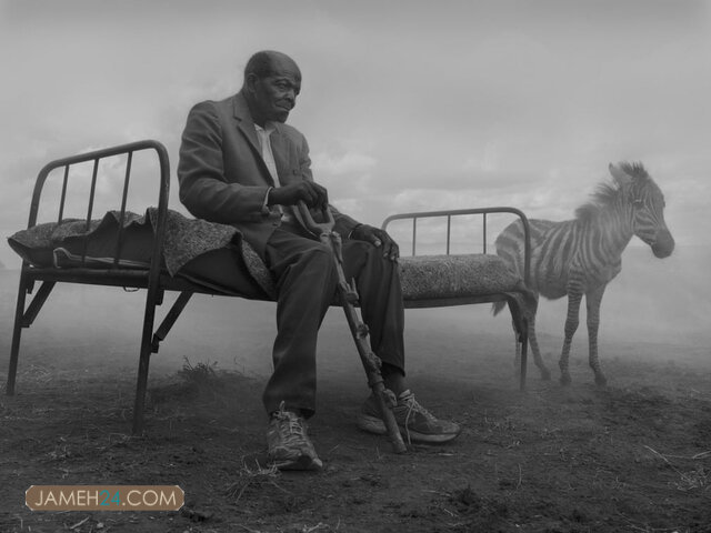 انسانها و حیوانات دردمند در یک قاب / داستان چند عکس انسانها و حیوانات دردمند در یک قاب / داستان چند عکس