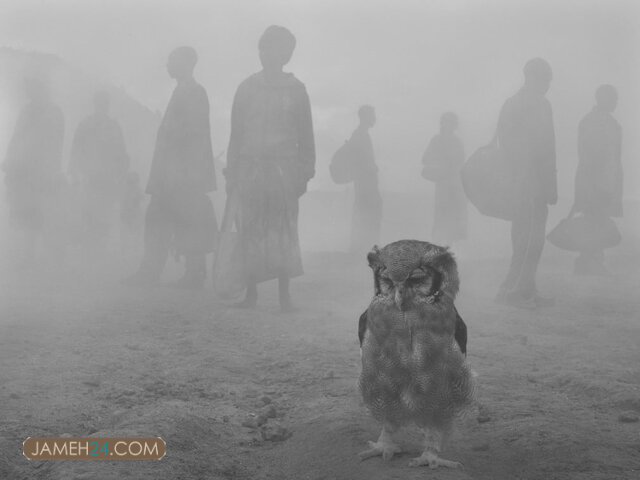 انسانها و حیوانات دردمند در یک قاب / داستان چند عکس انسانها و حیوانات دردمند در یک قاب / داستان چند عکس