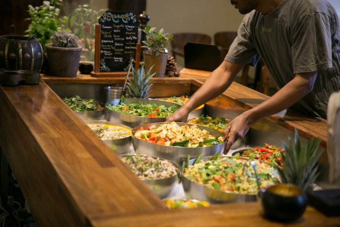 گیاه خواران چه موارد مهمی را باید رعایت کنند؟