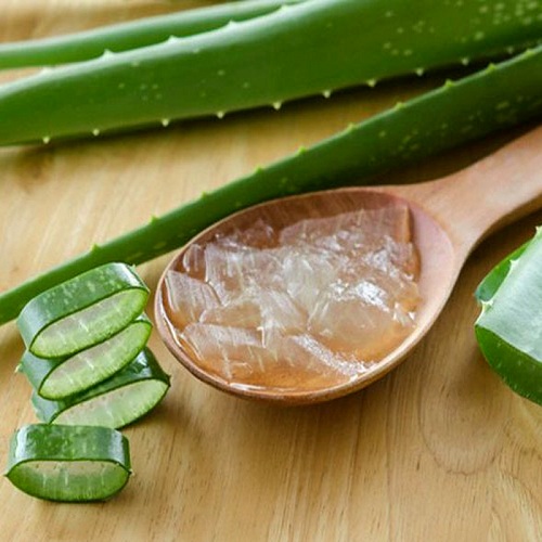 با آلوئهورا چگونه گلو درد را درمان کنیم؟ با آلوئهورا چگونه گلو درد را درمان کنیم؟