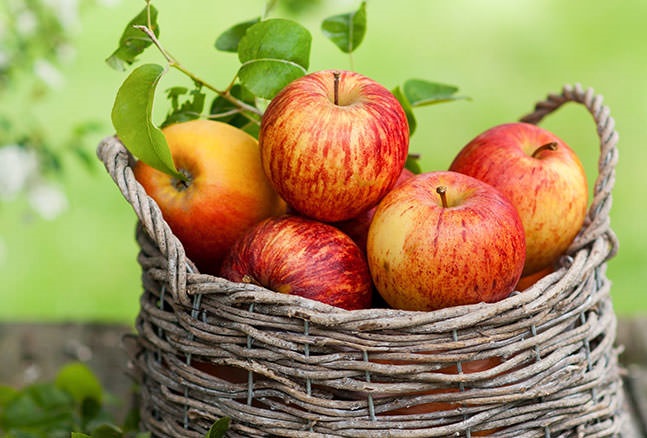 آماده تغذیه////// به هزاران دلیل سیب بخورید