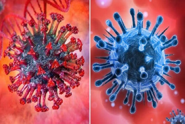 اثر داروی آنتی بادی آسترازنکا بر آنتی بادی کرونا اثر داروی آنتی بادی آسترازنکا بر آنتی بادی کرونا