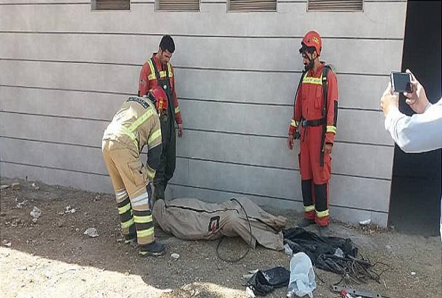 مرگ سارق کابل برق