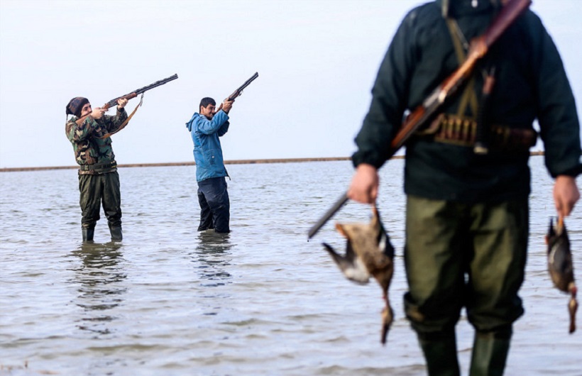 کشتار پرندگان مهاجر کشتار پرندگان مهاجر