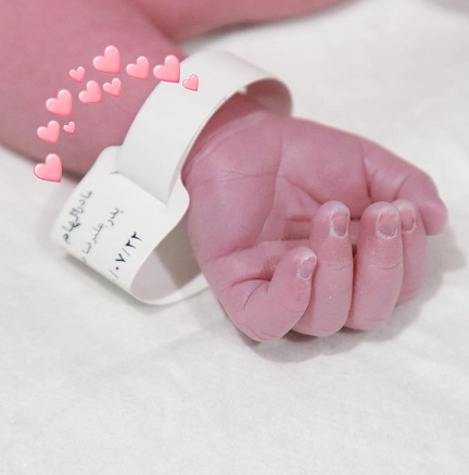 الهام حمیدی برای دومین بار مادر شد + عکس