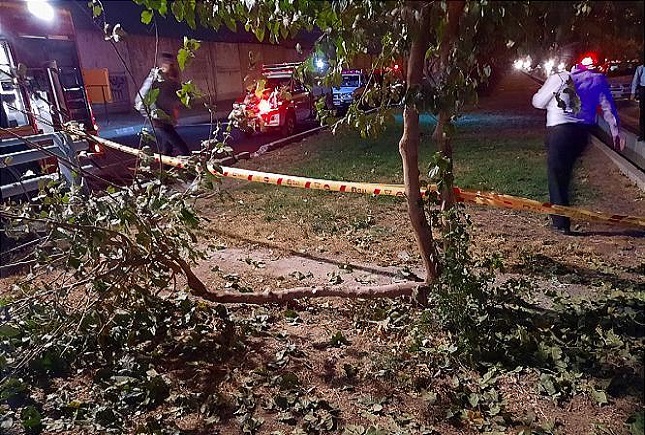 سقوط آزاد خودرو