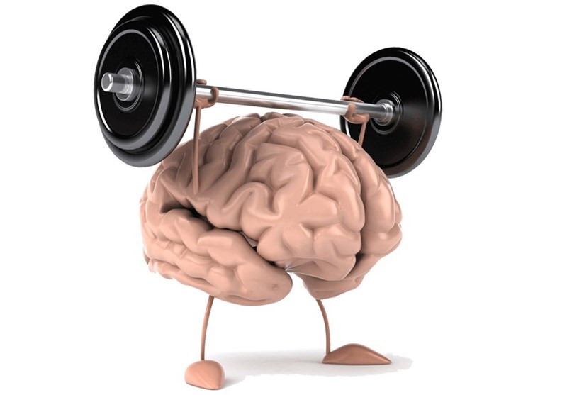 مواد مغذی برای تقویت حافظه مواد مغذی برای تقویت حافظه