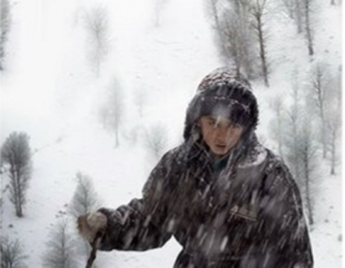 اعلام تاریخ نمایش گوزن فیلم گوزن