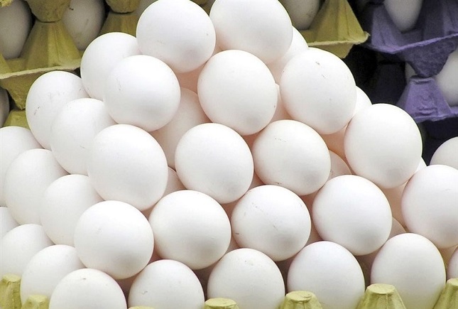 تخم مرغ باز هم گران شد