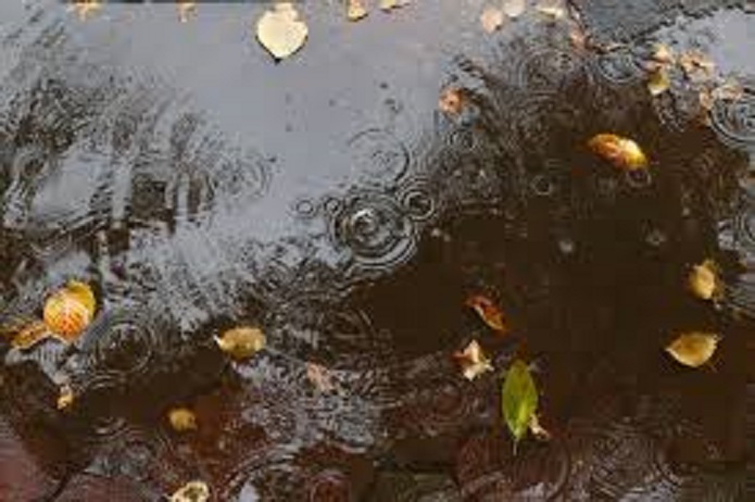 کاهش ۷۰ درصدی بارشها در حوزه آبریز شرق بارش باران