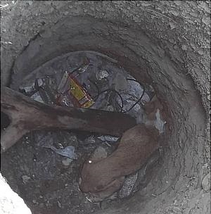 نجات سگ بی پناه از عمق چاه ۴ متری نجات سگ