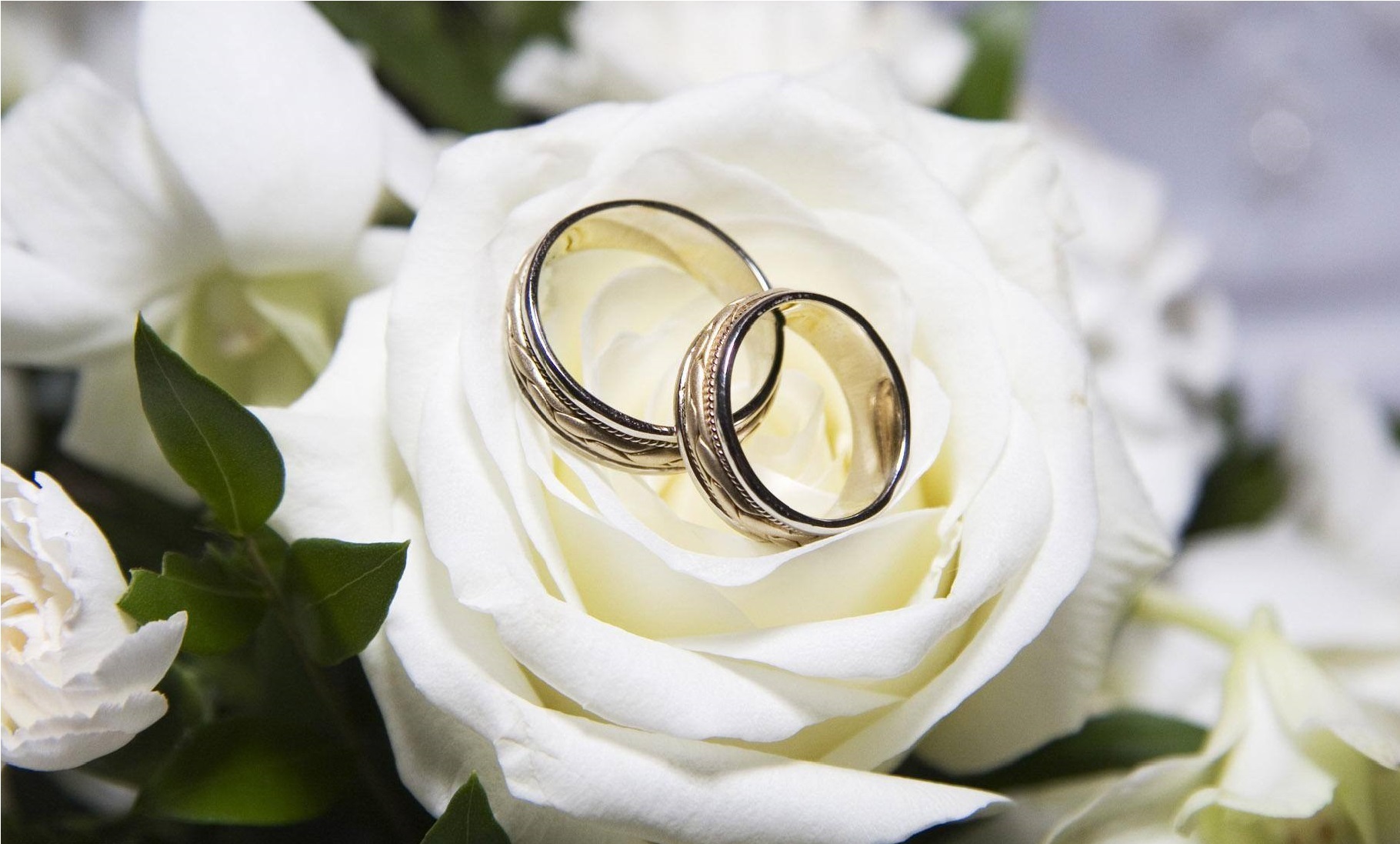 زندگی مشترک زندگی مشترک