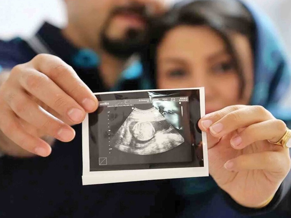 مشوقهای افزایش باروری مشوقهای افزایش باروری