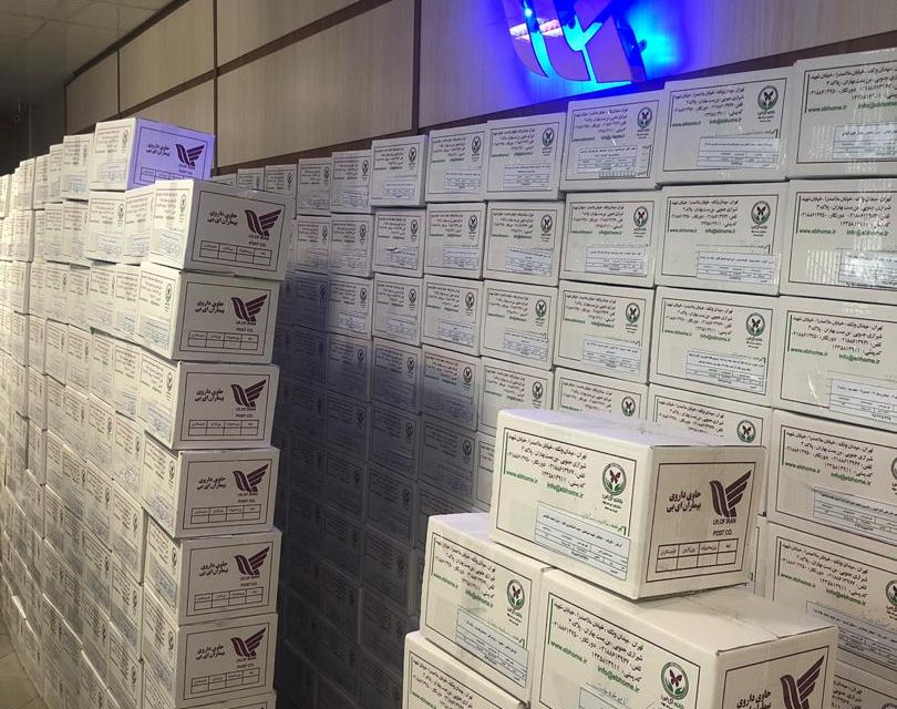 پانسمان بیماران پروانهای مفقود نشده است پانسمان بیماران پروانهای