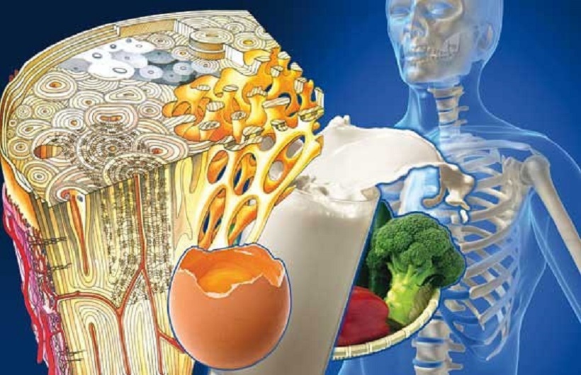 چگونه از پوکی استخوان جلوگیری کنیم؟ چگونه از پوکی استخوان جلوگیری کنیم؟