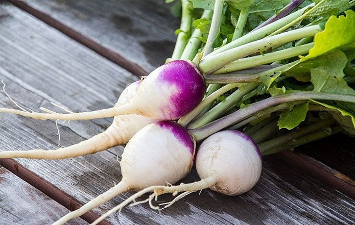 چهار فایده شلغم که کمتر میدانید شلغم