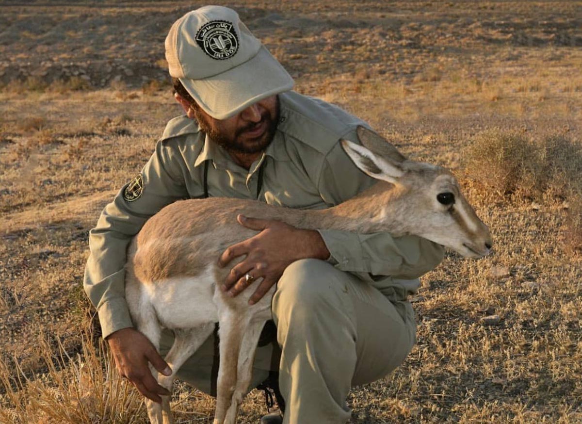 &nbsp;جزییات حکم اعدام محیط بان کرمانشاهی