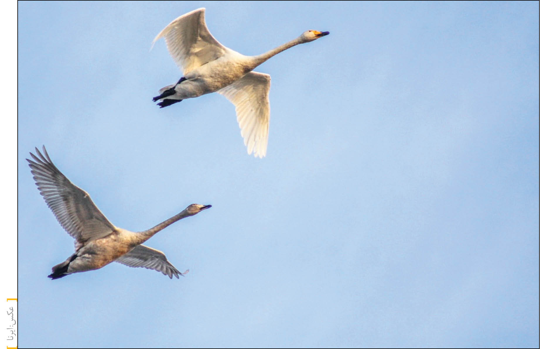 فریادکشان تا مازندران