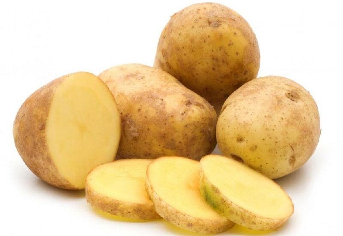 تغذیه سالم تغذیه سالم