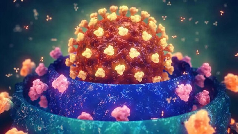 ویروس جهش یافته کرونا ویروس جهش یافته کرونا