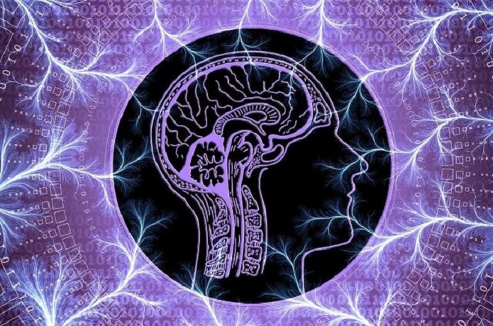 ۵ عادت سالم برای باهوش تر شدن هوش