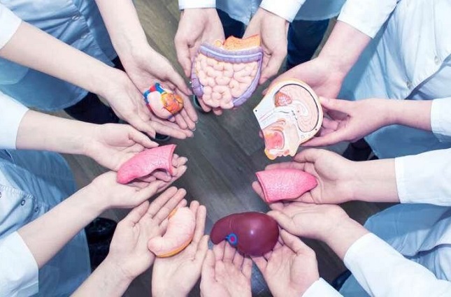 کاهش اهدا عضو همزمان با شیوع ویروس کرونا کاهش اهدا عضو همزمان با شیوع ویروس کرونا