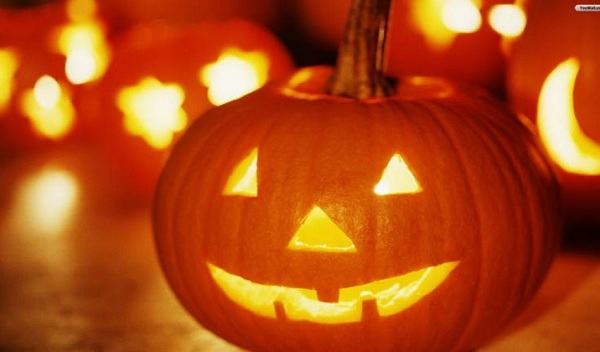 تنبلها را دستکم نگیرید! تنبلها را دستکم نگیرید!