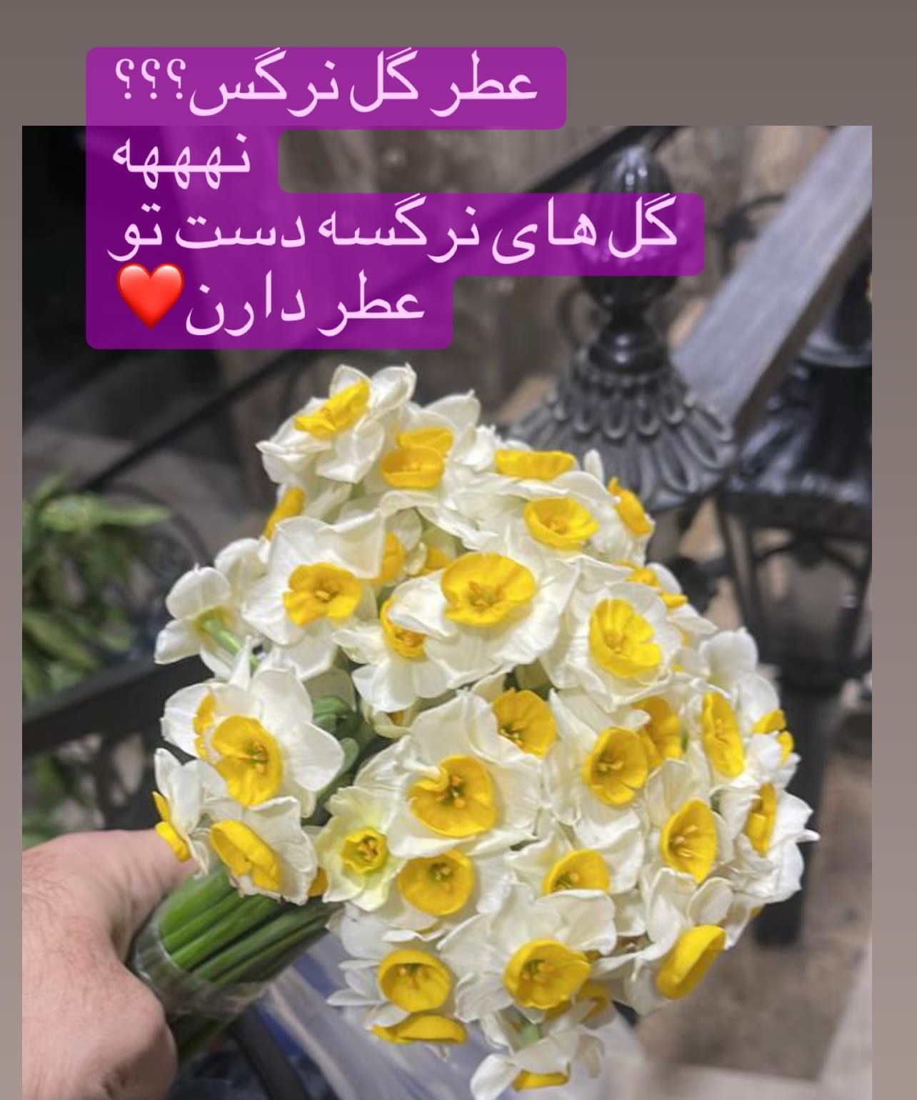 استوری نفیسه روشن استوری نفیسه روشن