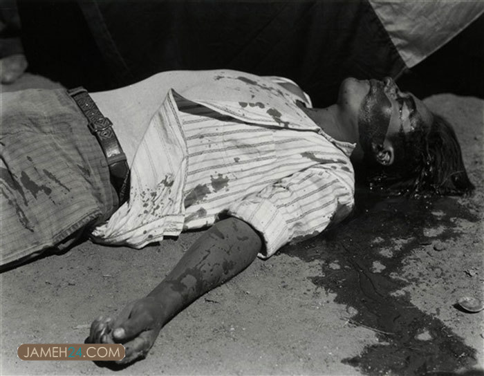 بهترین عکسهای مانوئل آلوارز براوو بهترین عکسهای مانوئل آلوارز براوو