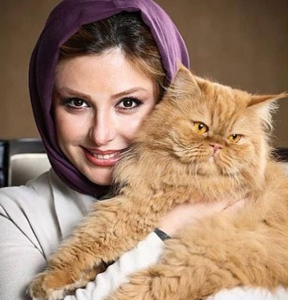عکس نیوشا ضیغمی و گربه خانگی آش