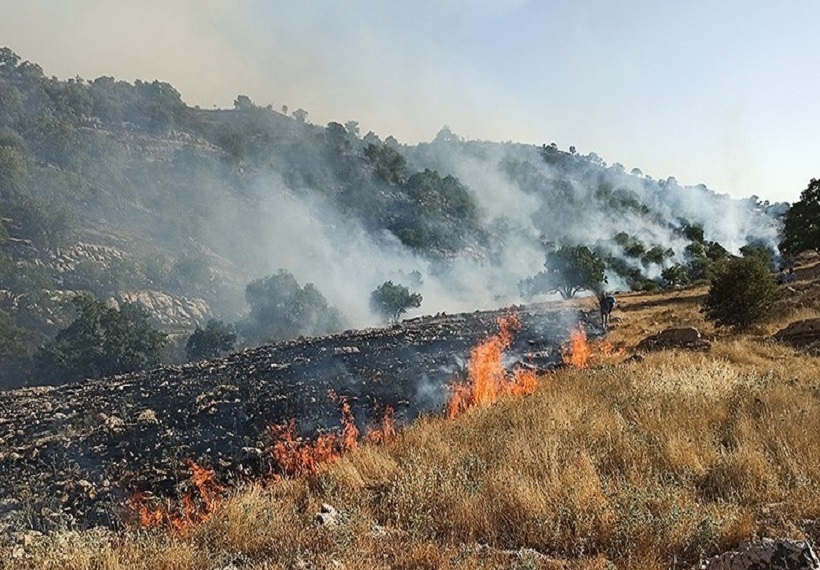 سهم محیط زیست از بودجه سهم محیط زیست از بودجه