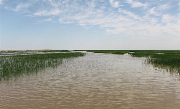 راهکاری عملیاتی برای احیای تالابهای کشور راهکاری عملیاتی برای احیای تالابهای کشور