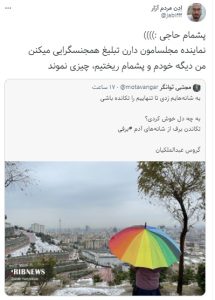 توییت شاعرانه نماینده مجلس منجر به جنجال درباره همجنس گرایان شد!/ تصاویر