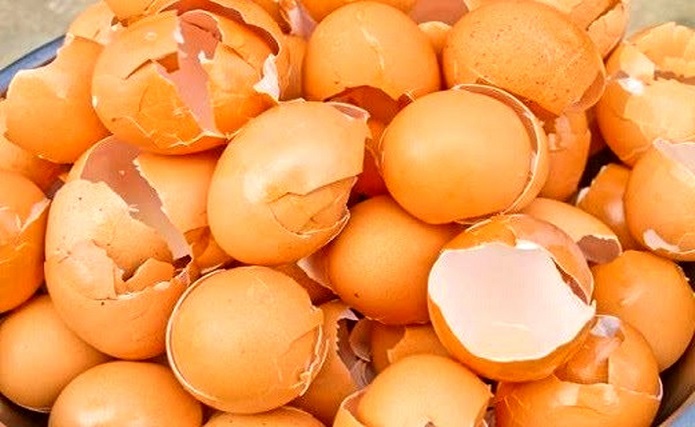 کاربردهای جالب پوست تخم مرغ در خانه پوست تخم مرغ
