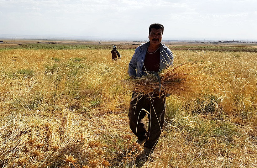 بی آبی در خوزستان بی آبی در خوزستان