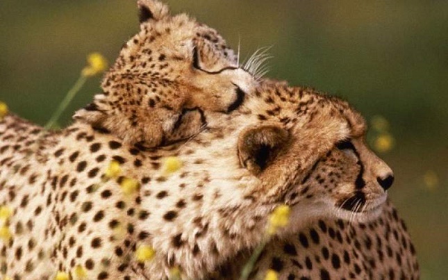 بیم و امیدها برای بارداری ایران بیم و امیدها برای بارداری ایران