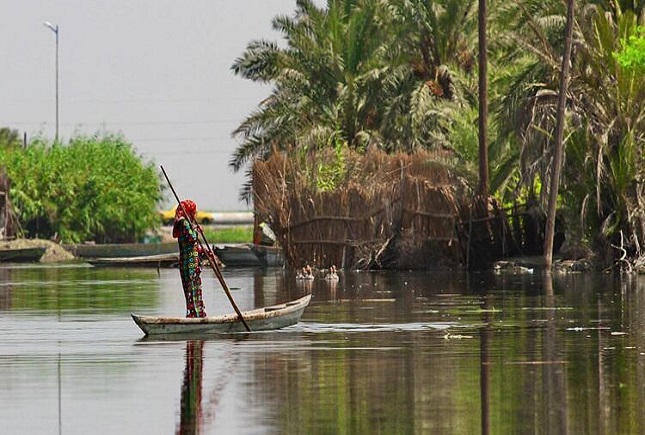 زمزمههای مرگ «شادگان» زمزمههای مرگ «شادگان»