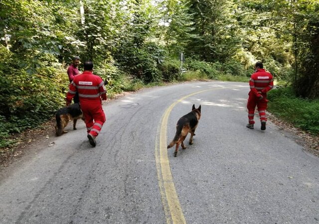 در جستوجوی گمشده «یالبندان» یالبندان