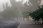 طوفان در تهران و البرز ۲ مصدوم برجای گذاشت